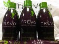 /album/galerie-photos/trevo-african-concept-jpg/